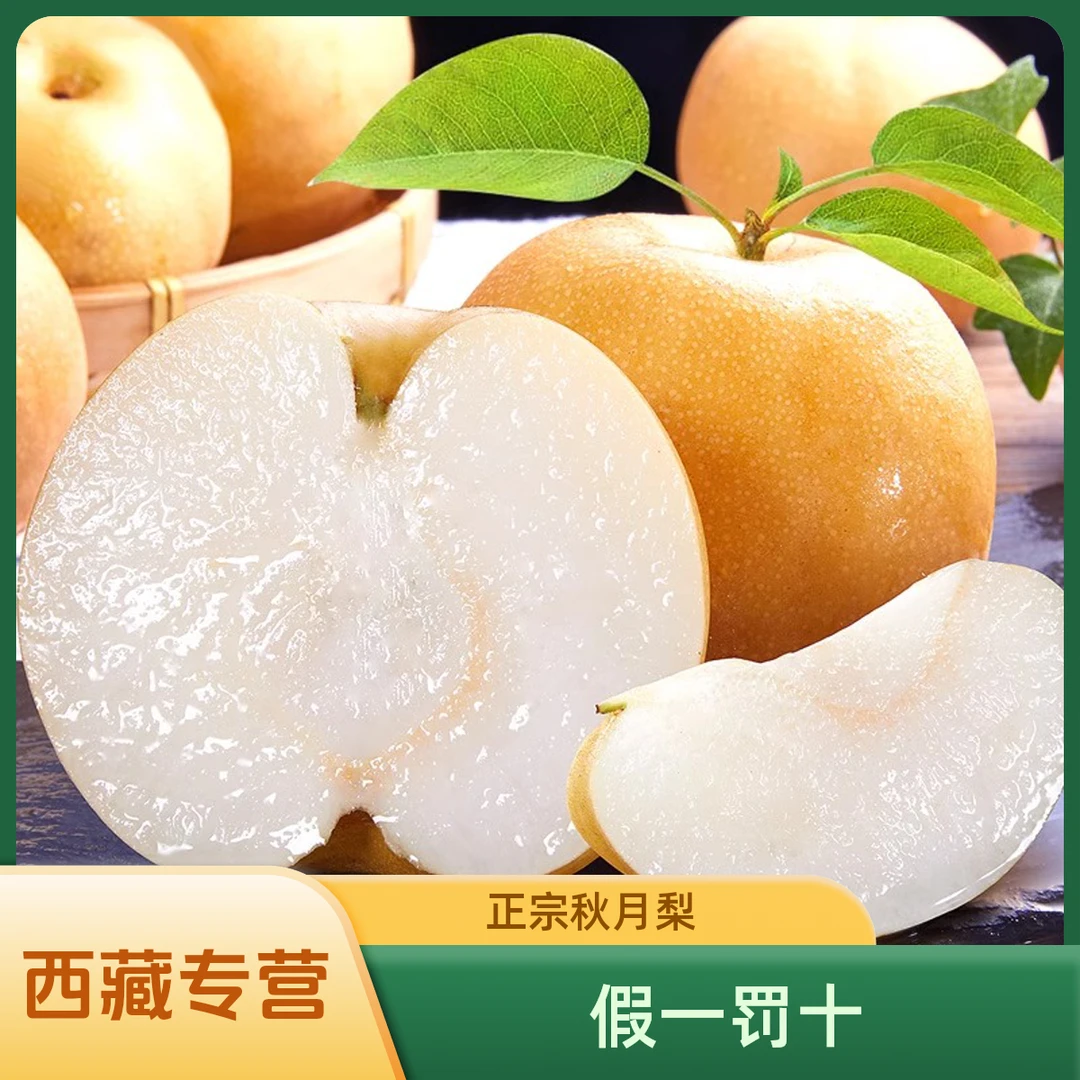 【西藏专营】顺丰山东秋月梨正宗新鲜冰糖梨子当季水果现摘果园发货