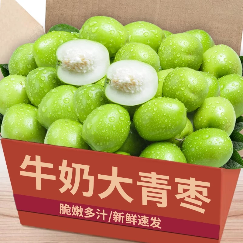 【西藏专营】正宗牛奶大青枣新鲜当季现摘脆枣贵妃脆甜蜜枣孕妇水果