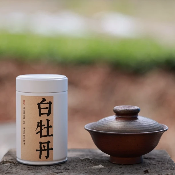 2017年陈年白牡丹管阳高山福鼎白茶30克/罐
