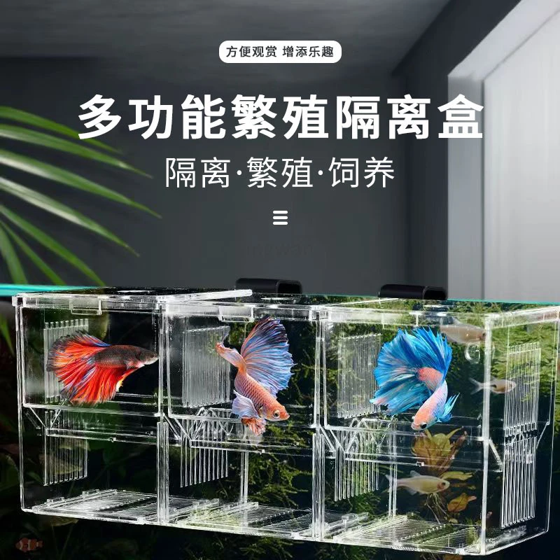 孔雀鱼繁殖盒实用幼鱼产卵热带鱼隔离孔雀鱼繁殖孔雀鱼繁殖隔离盒