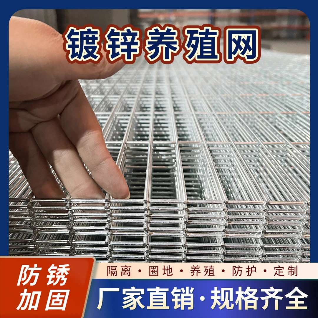 2.5x10孔3x10厘米孔狗笼猫笼围网鸡鸭鹅笼伸头吃食镀锌网片铁丝网