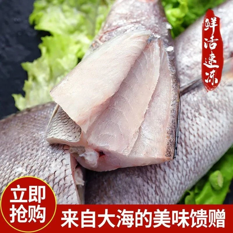 顺丰冷链包邮鳘鱼新鲜大鮸鱼冰冻鳘鱼深海海鲜鲜活水产整箱5斤装
