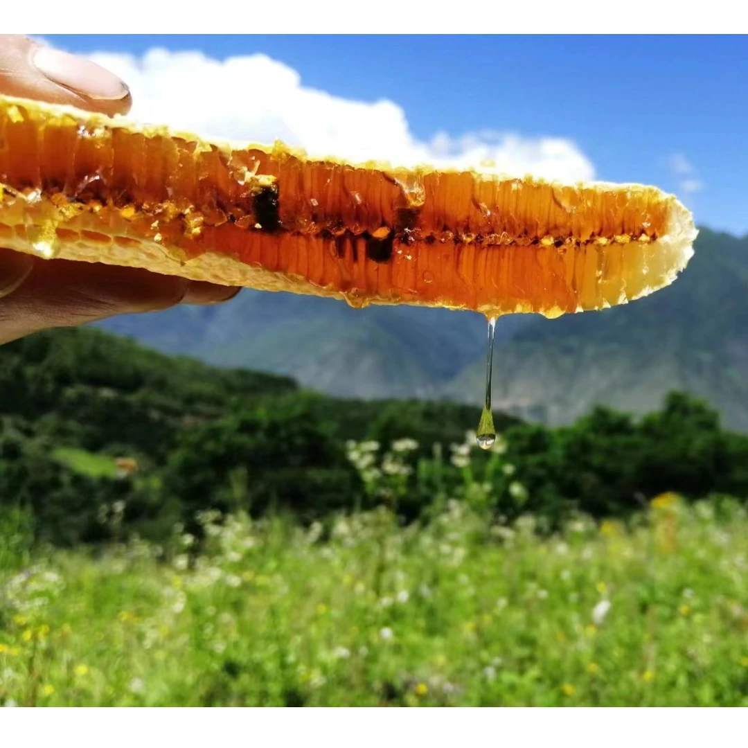 野花药材植物花五味子蜜正宗深山原蜜土蜂蜜农家蜜蜂巢挤压过滤