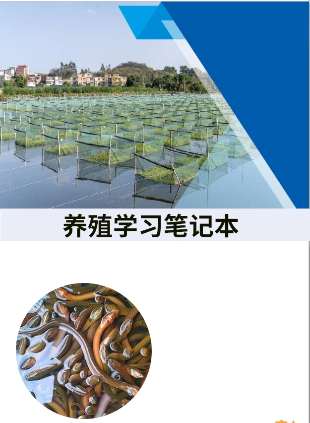 (黄鳝养殖学习专用） 学习笔记本