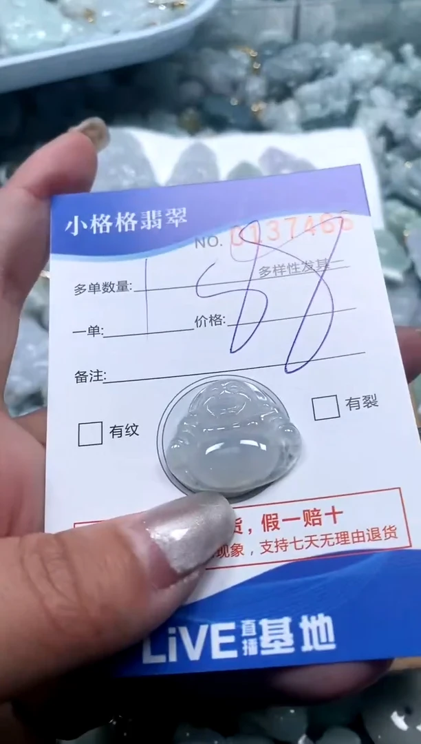 【闪购商品】翡翠颈饰未镶嵌闪购商品0137466