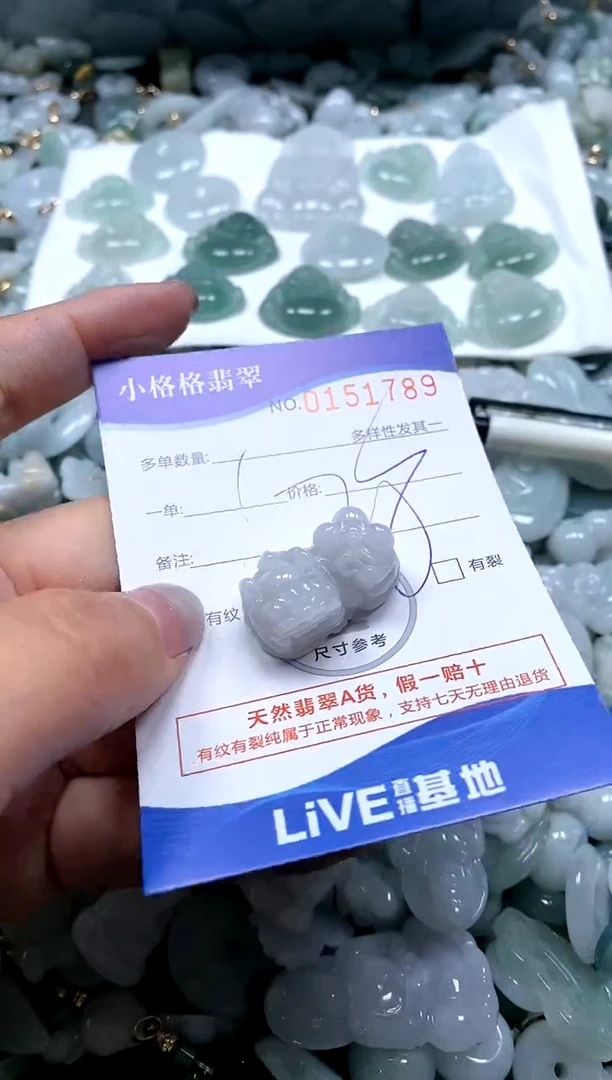 【闪购商品】翡翠颈饰未镶嵌直播闪购0151789