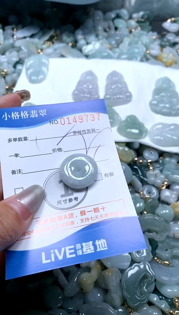 【闪购商品】翡翠颈饰未镶嵌直播闪购0149737