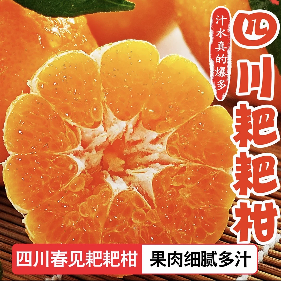 【坏果包赔】四川正宗春见耙耙柑香甜多汁现摘现发新鲜水果5/8斤