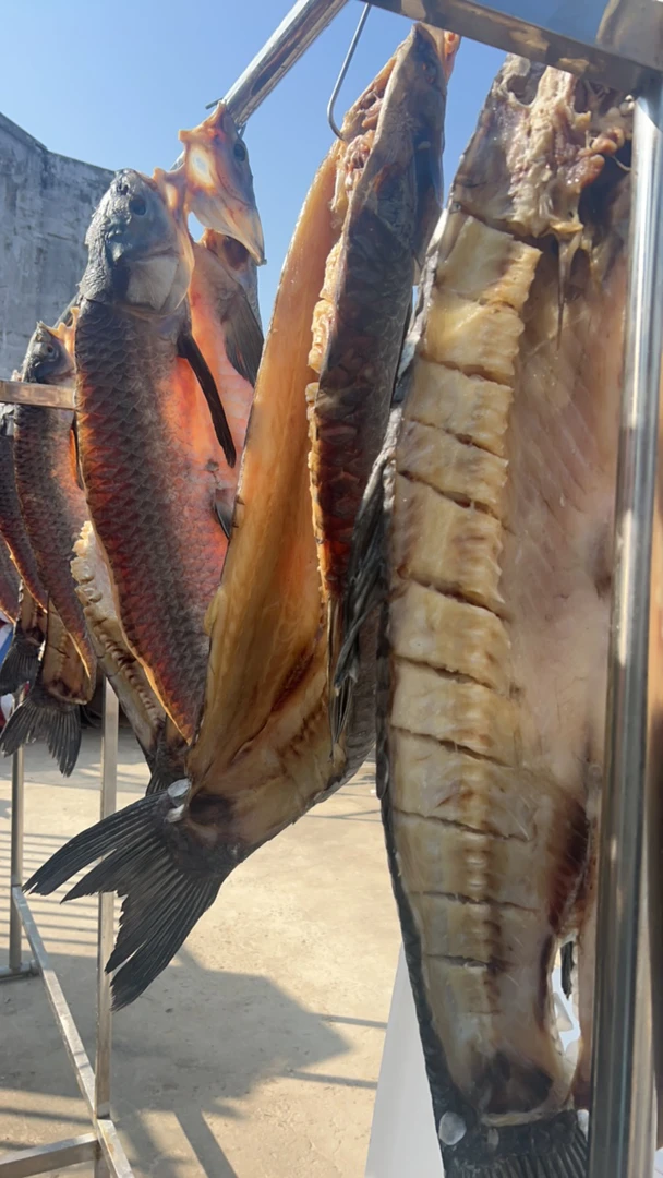 风干草鱼野生青混