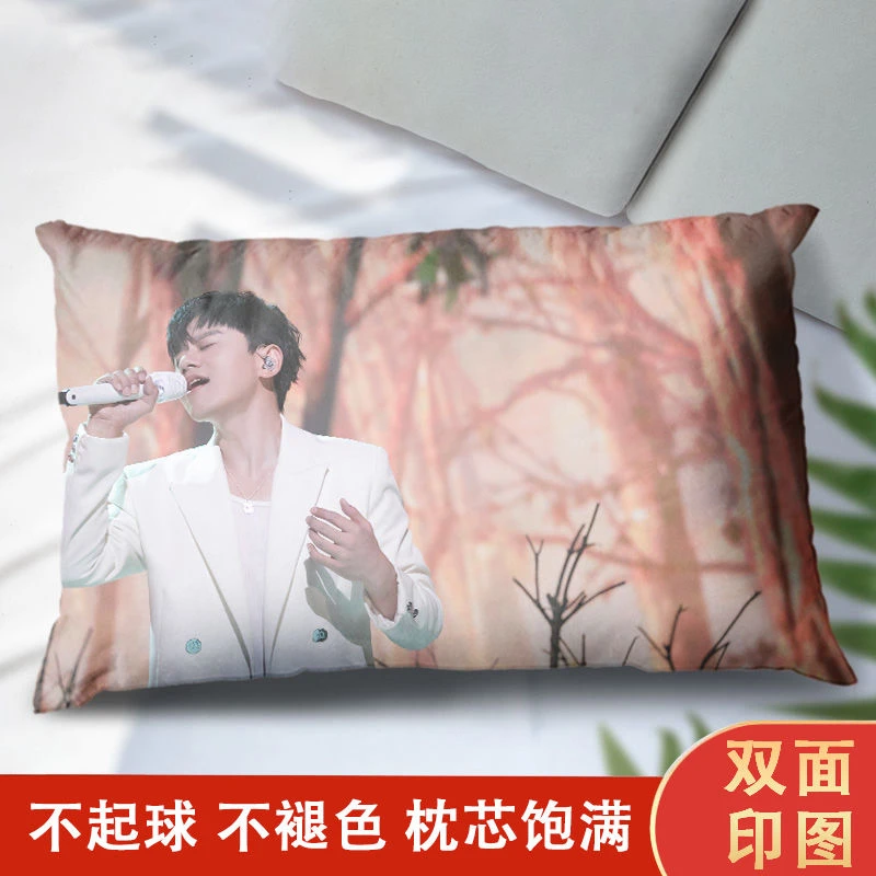 张杰抱枕粉丝应援周边睡枕枕头双面图定制枕芯枕套套装靠垫情侣