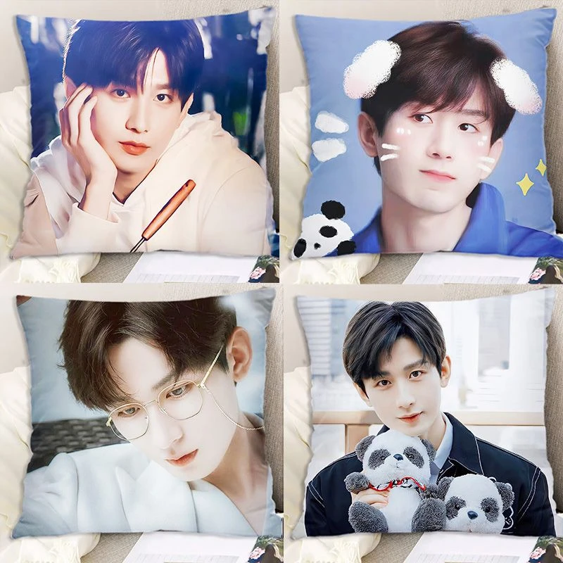 成毅抱枕周边同款双面靠垫闺蜜同学生日礼物枕头粉丝应援靠枕