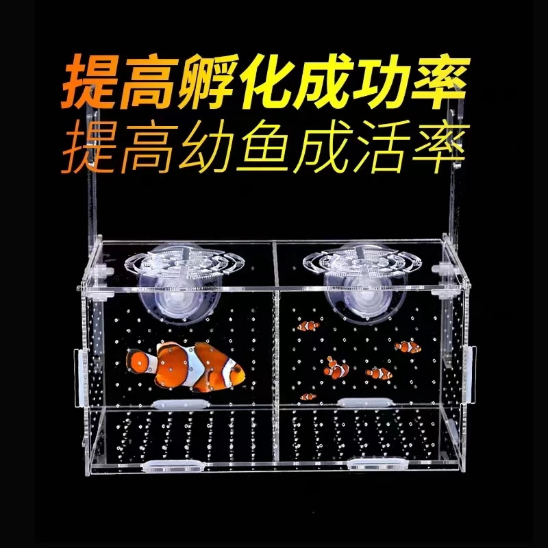 多功能透明鱼儿孵化盒*大号精品亚克力隔离繁殖繁育饲养观赏