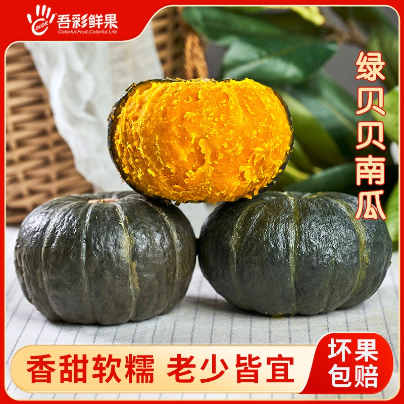正宗沙地贝贝南瓜粉糯香甜板栗味孕妇宝宝辅食新鲜蔬菜
