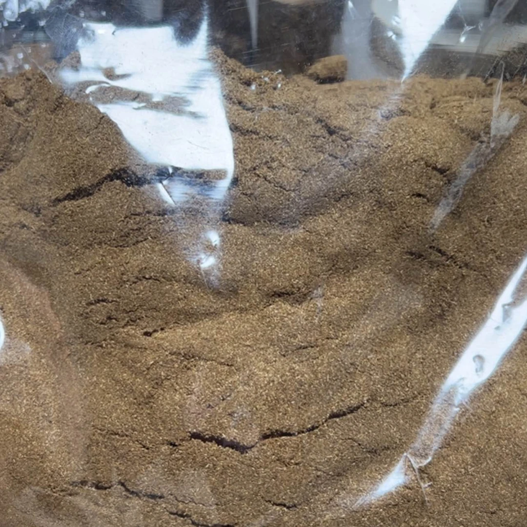 【闪购商品】棋楠粉100克