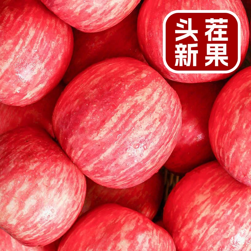 洛川糖心苹果甜脆多汁当季红富士现摘现发整箱2斤/5斤/10斤装包邮