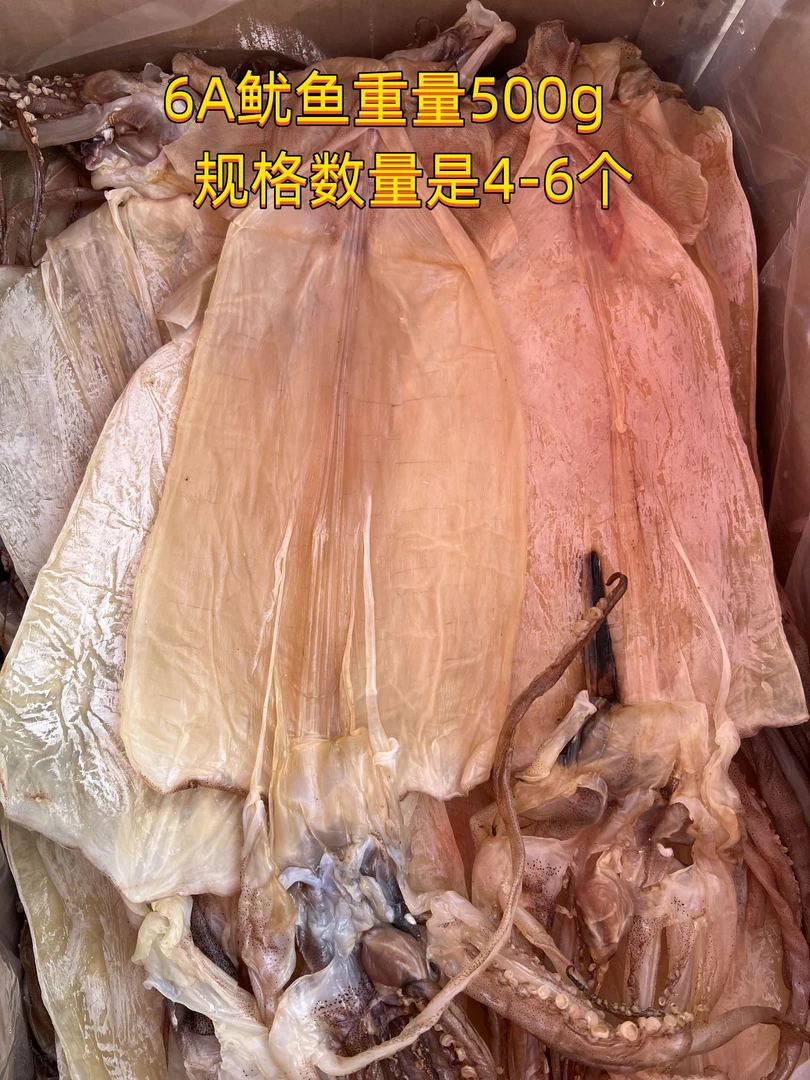 陆丰6A大鱿鱼4～6个500克
