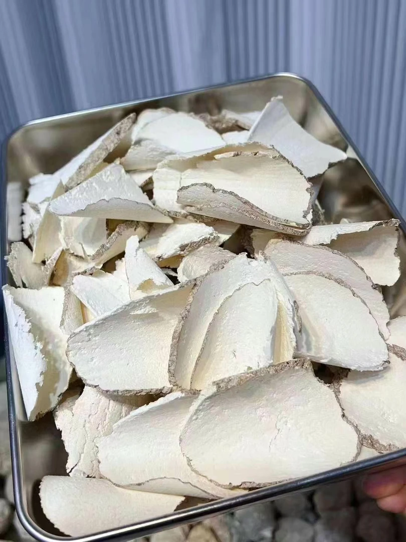 精选好货琥乳菌250g