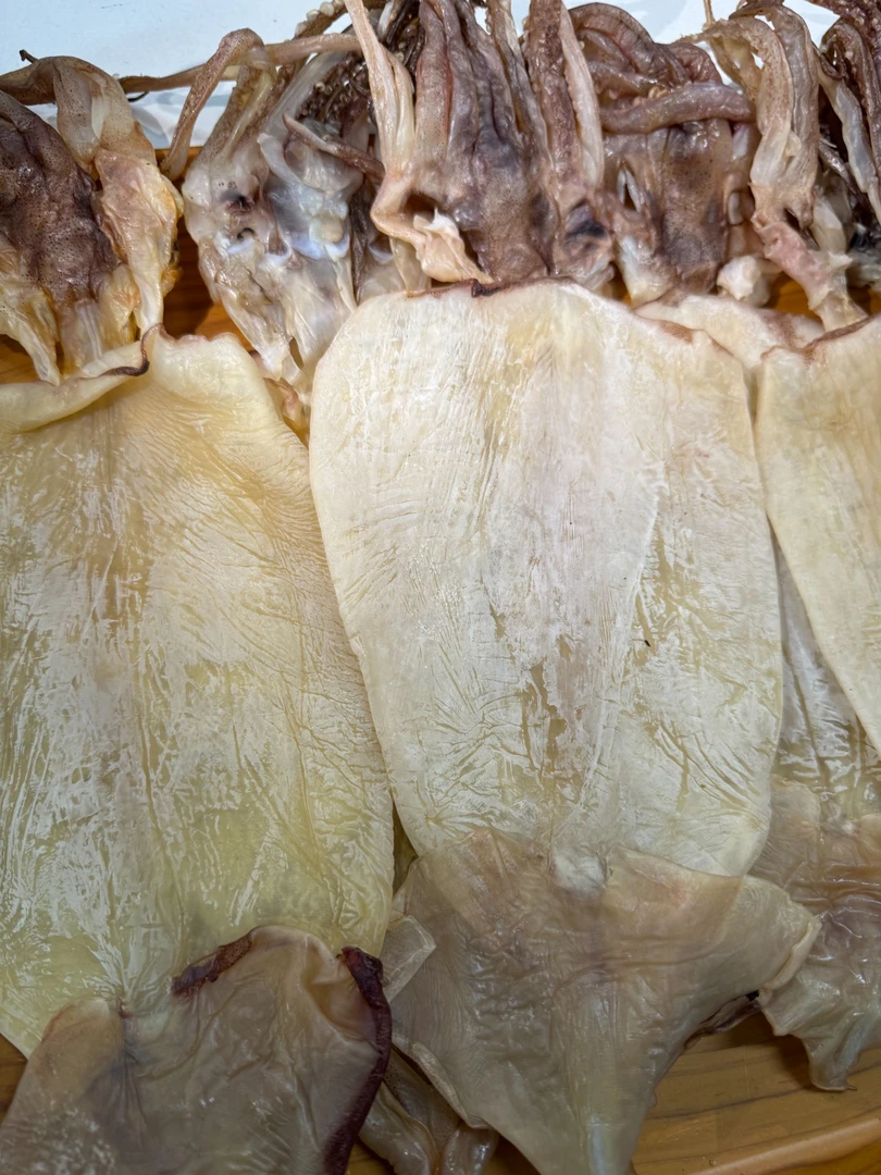 陆丰6A大鱿鱼4～6个500克