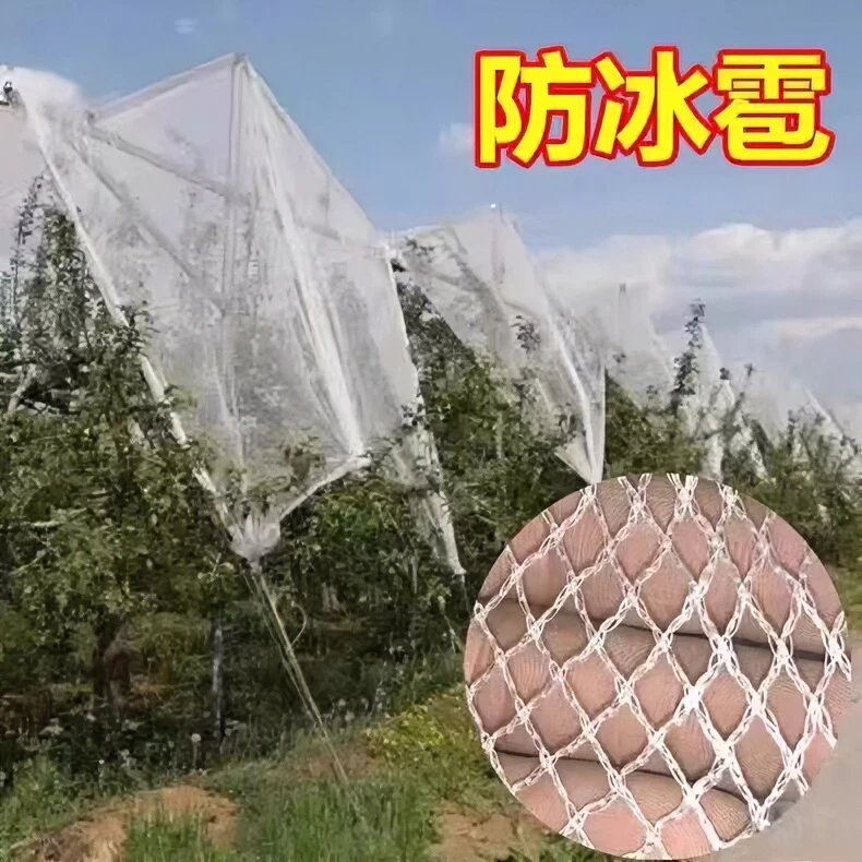 防雹网冰雹网白色全新料抗氧化苹葡萄果园防鸟防护网防冰雹网耐用