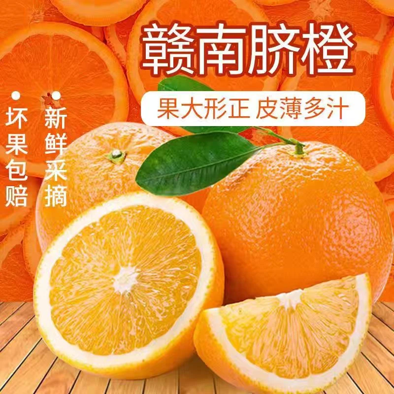 （福利特大果）产地直发正宗赣南脐橙果王10斤大果应季橙子新鲜