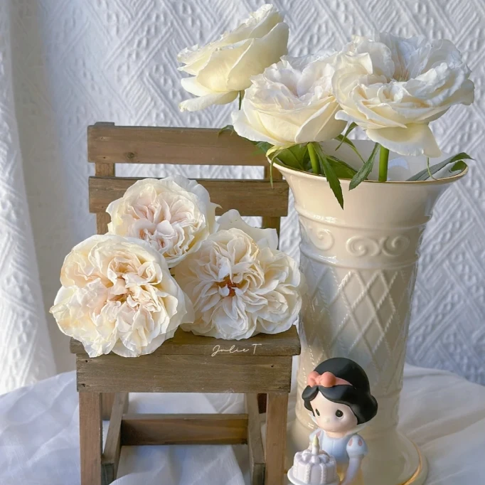 【探花甄选】贝拉 稀有玫瑰 云南基地直发 两单顺丰冷链