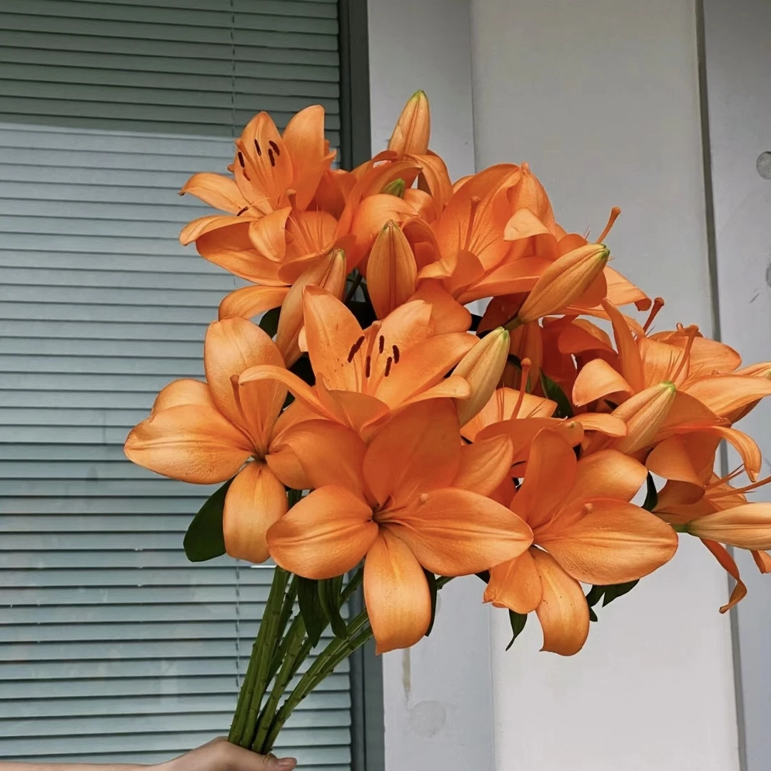 【探花甄选】橙色梦想多头百合花 任意两单起发 顺丰冷链 新鲜