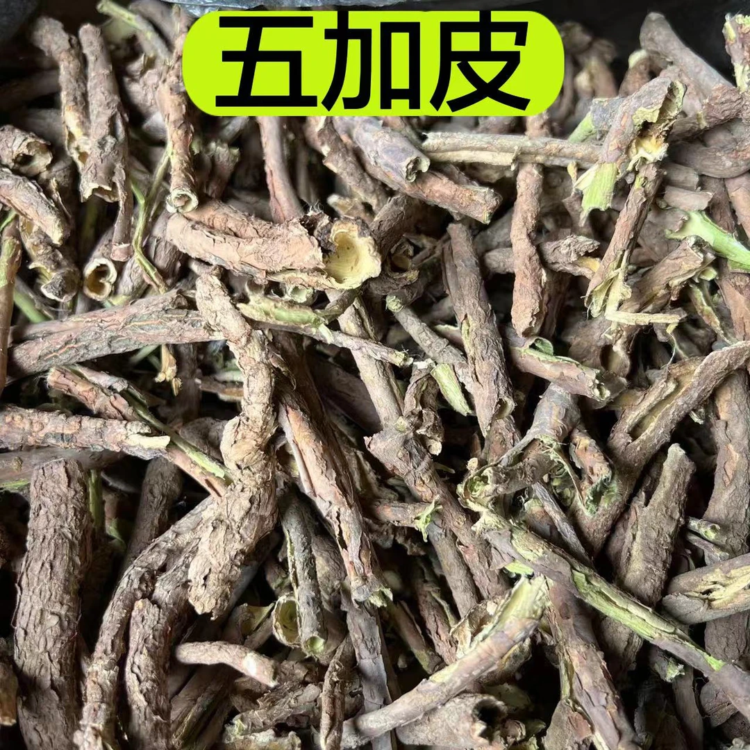 【五加皮】甘肃五加皮也叫香加皮大山里边采挖 精选整条250克包邮