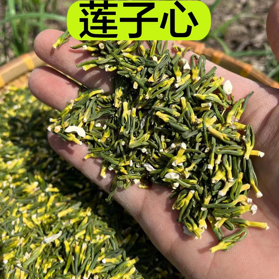 莲子心金银花干货正品头茬优质嫩芽莲子心煲汤食用250克包邮