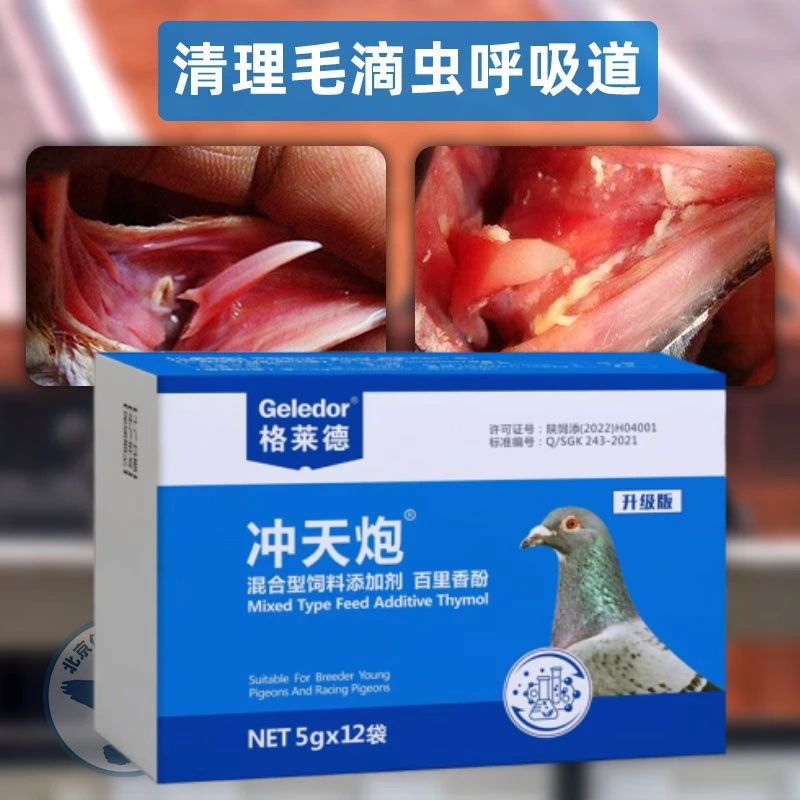 格莱德【冲天炮】呼吸道毛滴虫二合一鸽用宠物零食