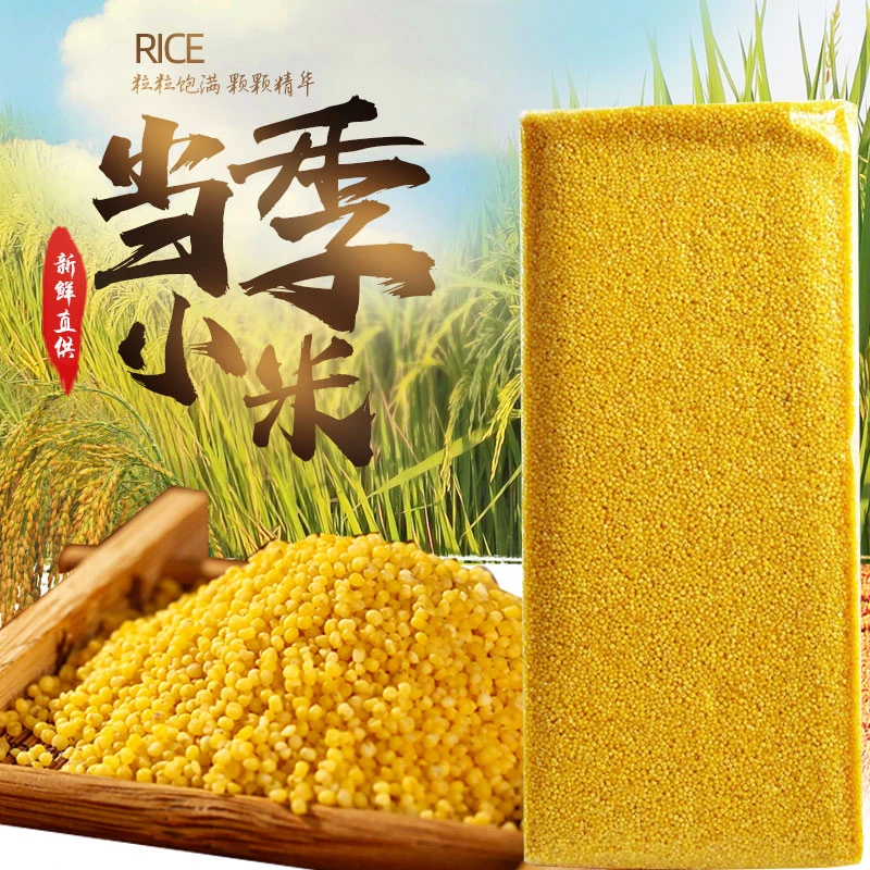 2025年农家新鲜黄小米新米粘糯食用黄米粥颗粒饱满真空包装