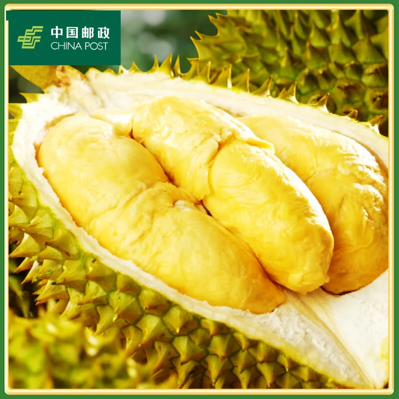 【邮政专属2号秤一物一拍】精选越南干尧榴莲