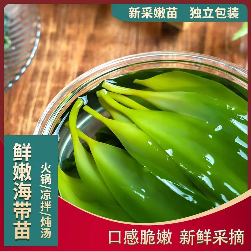 盐渍海带苗 200g/包 火锅凉拌食材鲜嫩美味直供产品营养