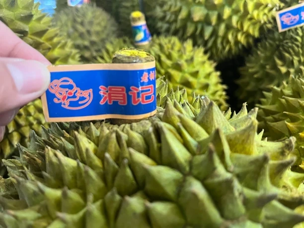 福利金枕榴莲整果榴莲同城送