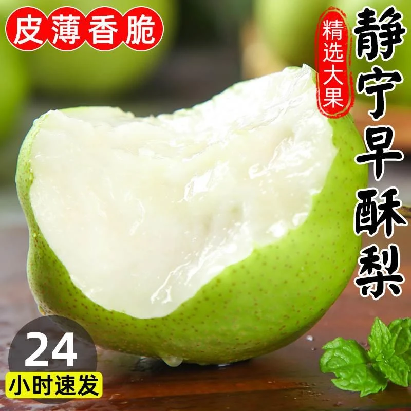 甘肃静宁酥梨新鲜水果整箱当季包邮香脆梨砀山梨雪黄冠应季早酥梨