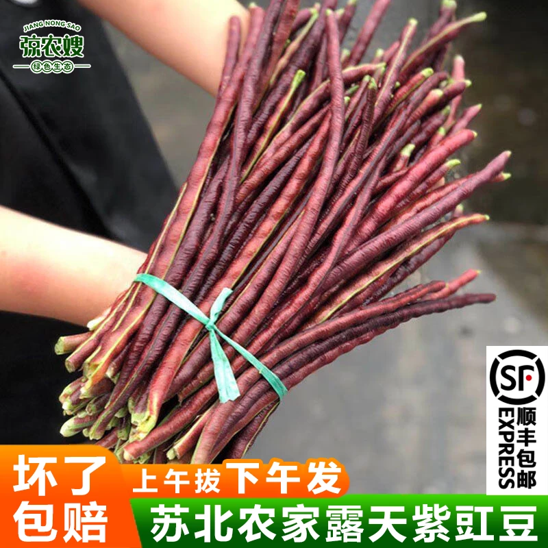 弶农嫂苏北农家现摘紫豇豆新鲜红豆角红豇豆长豇豆紫豆角乌豆角子