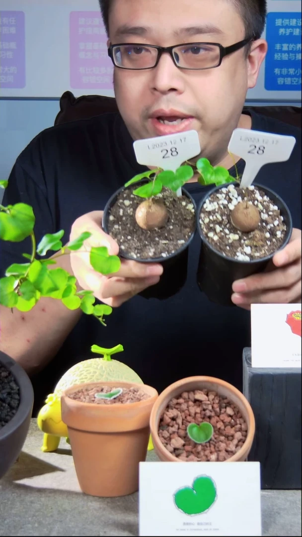 【闪购商品】L2023.12.17.28