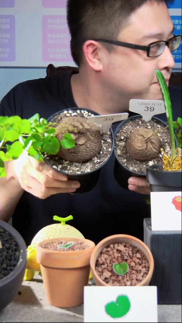 【闪购商品】L2023.12.17.39