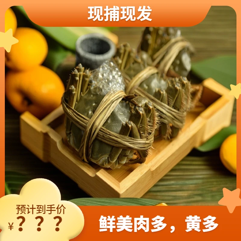 【精品活蟹】大闸蟹2.8-3.0两（母蟹）8只+2只共10只活蟹现发