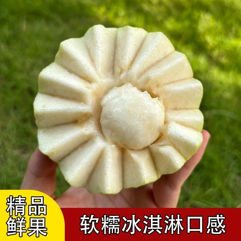 奶油芭乐口感香甜软糯皮薄多汁白心番石榴冰淇淋奶昔新鲜水果现摘