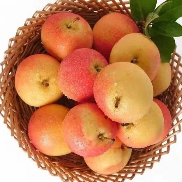 海城南果梨（红脸）490-510g/份