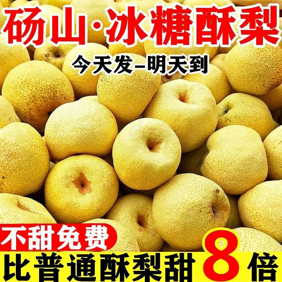 【超甜现货】正宗砀山酥梨当季新鲜水果薄皮梨子贡梨整箱香甜包邮