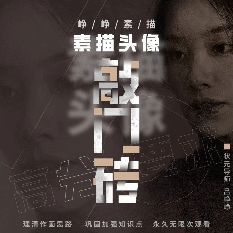 峥峥素描素描头像敲门砖系统课程历年思路美术永久回看