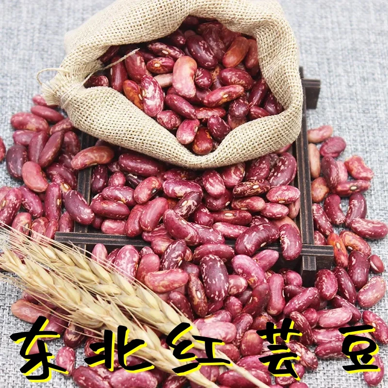 【今年新豆】东北紫花芸豆2斤四季豆新鲜东北芸豆饭豆五谷杂粮1斤