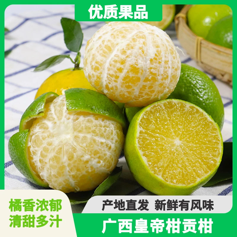 广西皇帝柑贡柑2-4.5斤产地直销新鲜水果应季柑橘高品质好吃橘子