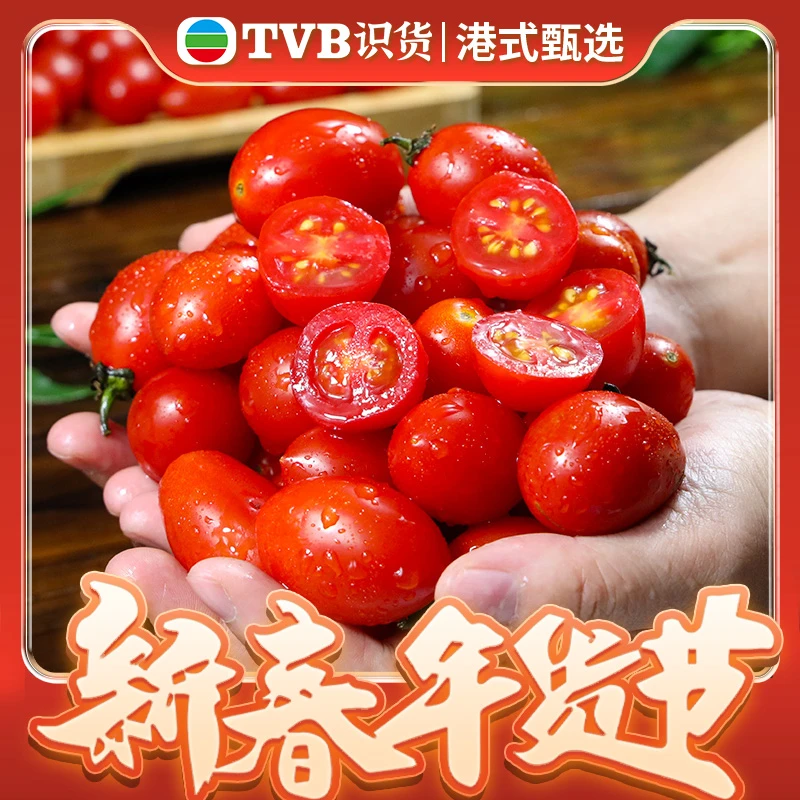 广西圣女果3-4.5斤新鲜小番茄酸甜口感好吃产地直发现摘现发