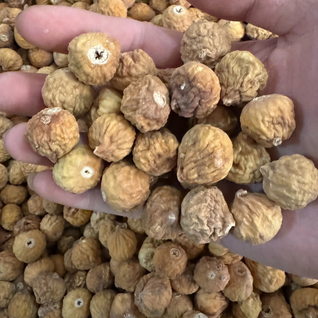 农户现收 无花果