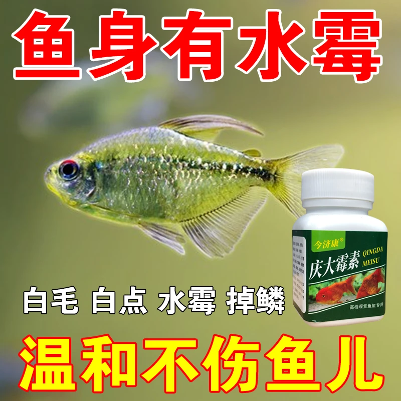 观赏鱼庆大霉素粉鱼类水霉金鱼锦鲤烂尾烂鳍烂肉白点炸鳞鱼缸专用