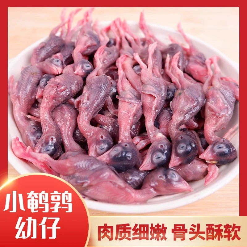 新鲜小鹌鹑幼仔赠分装鹌鹑宠物幼犬狗猫粮零食猫咪生骨肉喂蛇鹰貂
