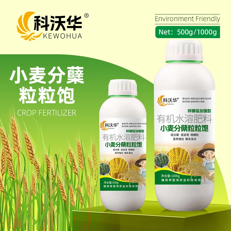 【买一送一】科沃华小麦分蘖粒粒饱促分蘖增穗粒促返青灌浆水溶肥料