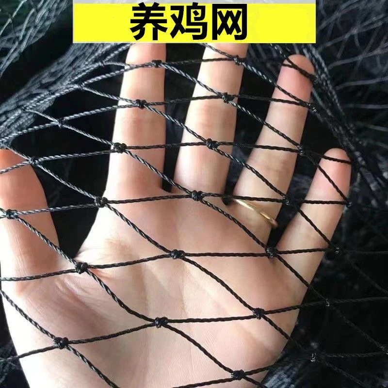 黑色家禽耐用养殖网户外尼龙养鸡围栏网家用防鸟网多功能爬藤网